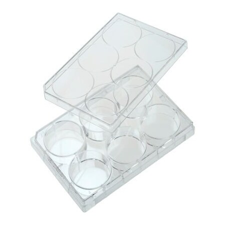 Celltreat CELLTREAT  6 Well Tissue Culture Plate with Lid, Individual, Sterile 229105
